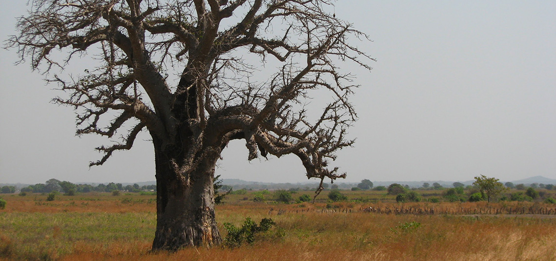 Circuit Séjour en Haute Guinée - Photo : © Fouta Trekking Aventure