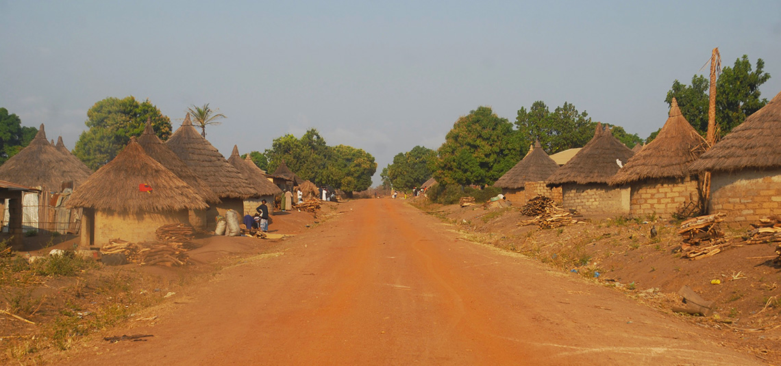 Circuit Le mont Nimba et la Guinée forestière - Photo : © Fouta Trekking Aventure