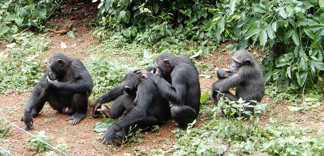 Circuit découverte en Sierra Leone - Photo : &copy; Fouta Trekking Aventure