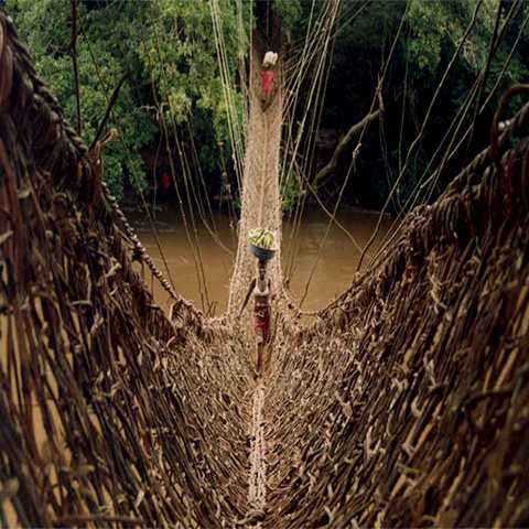 Le Pont de lianes sur le Diani en Guinée forestière - &copy; Fatoumata D via Wikipedia